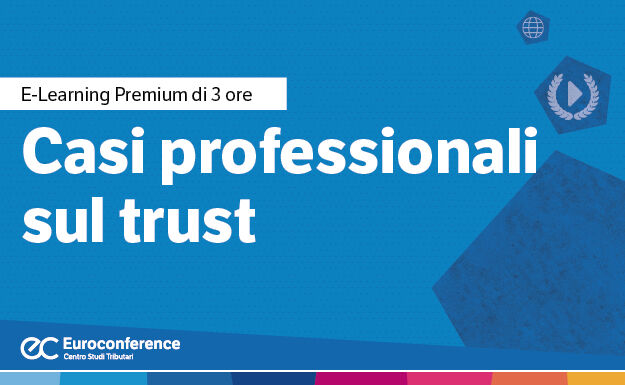 Immagine Casi professionali sul trust